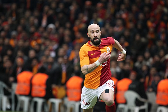 对个人荣誉 对个人荣誉